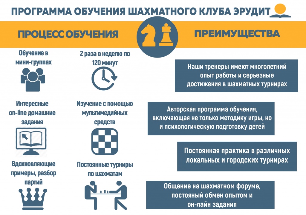 инфографика_шахматы.jpg